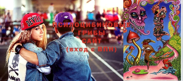 PSILOCYBIN Горняк