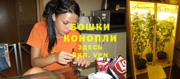 скорость Горнозаводск