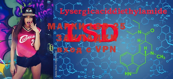 PSILOCYBIN Горняк