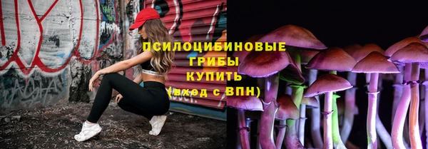 PSILOCYBIN Горняк